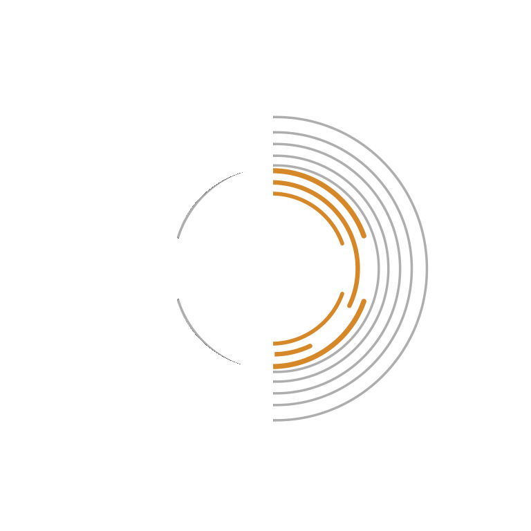 Snaapshot Photography